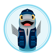 chatbutton